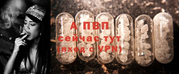 a pvp Заволжск