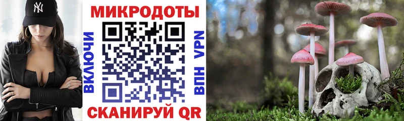 Псилоцибиновые грибы Cubensis  Карталы 